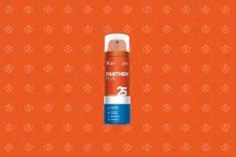 Panthen Plus pianka z pantenolem 25% 50 ml - od 1 dnia życia